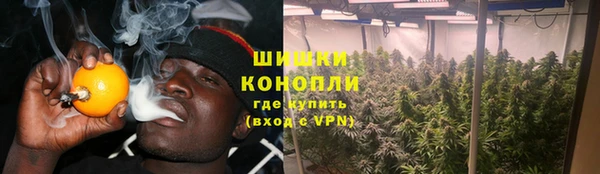 гидра Абаза