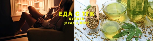 гидра Абаза