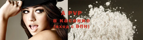 гидра Абаза