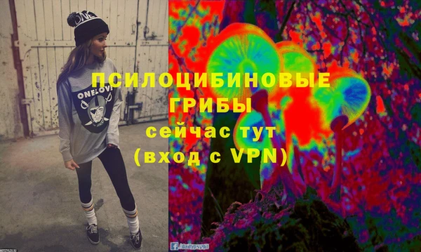 mdpv Володарск
