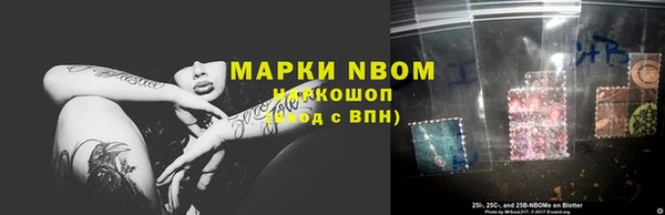 гидра Абаза
