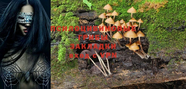 скорость Алзамай