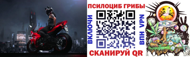 купить  сайты  Туран  Псилоцибиновые грибы Cubensis 